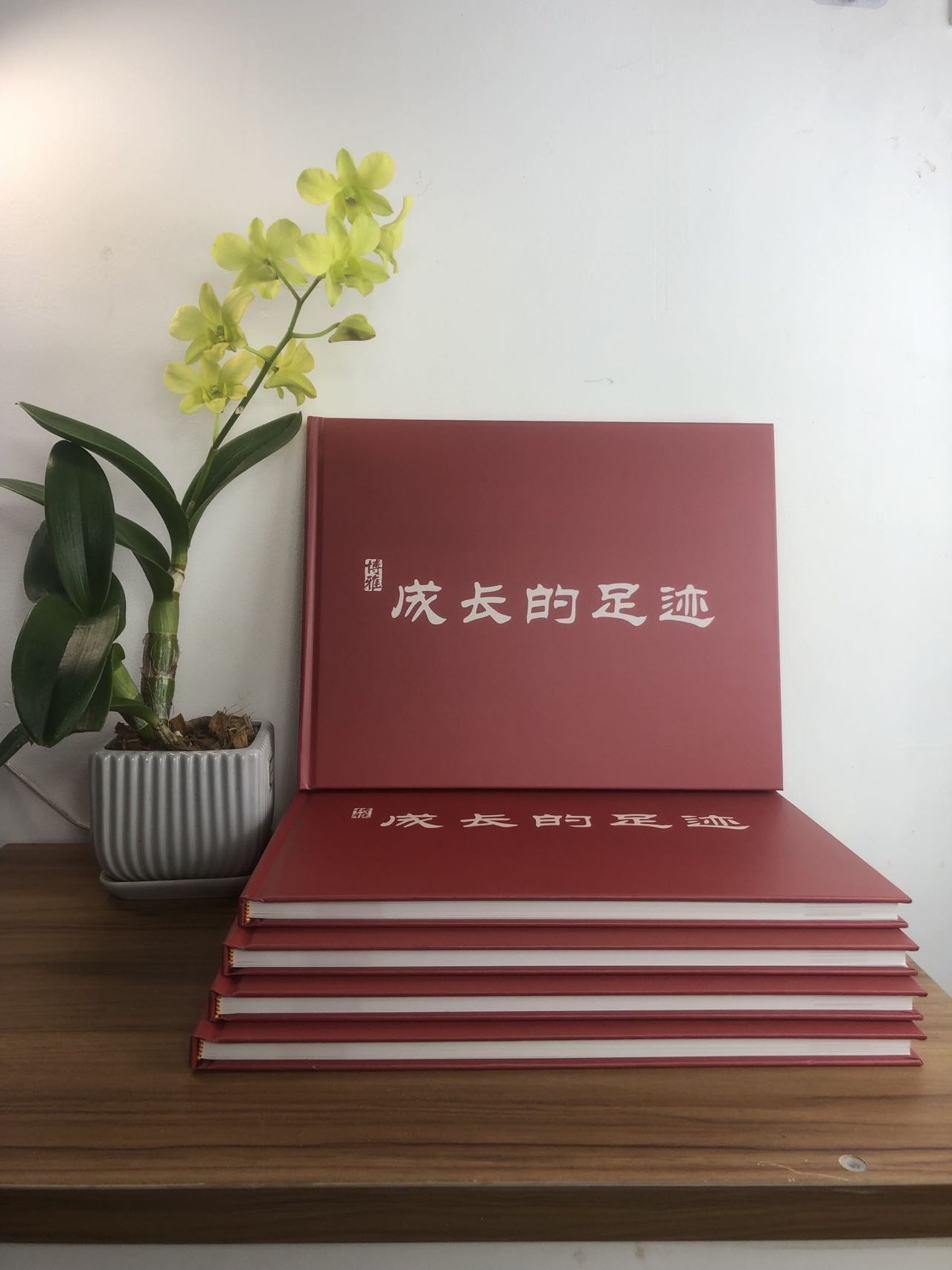 广州印刷厂- 精装书,精装画册,精装宣传册,精装企业宣传册